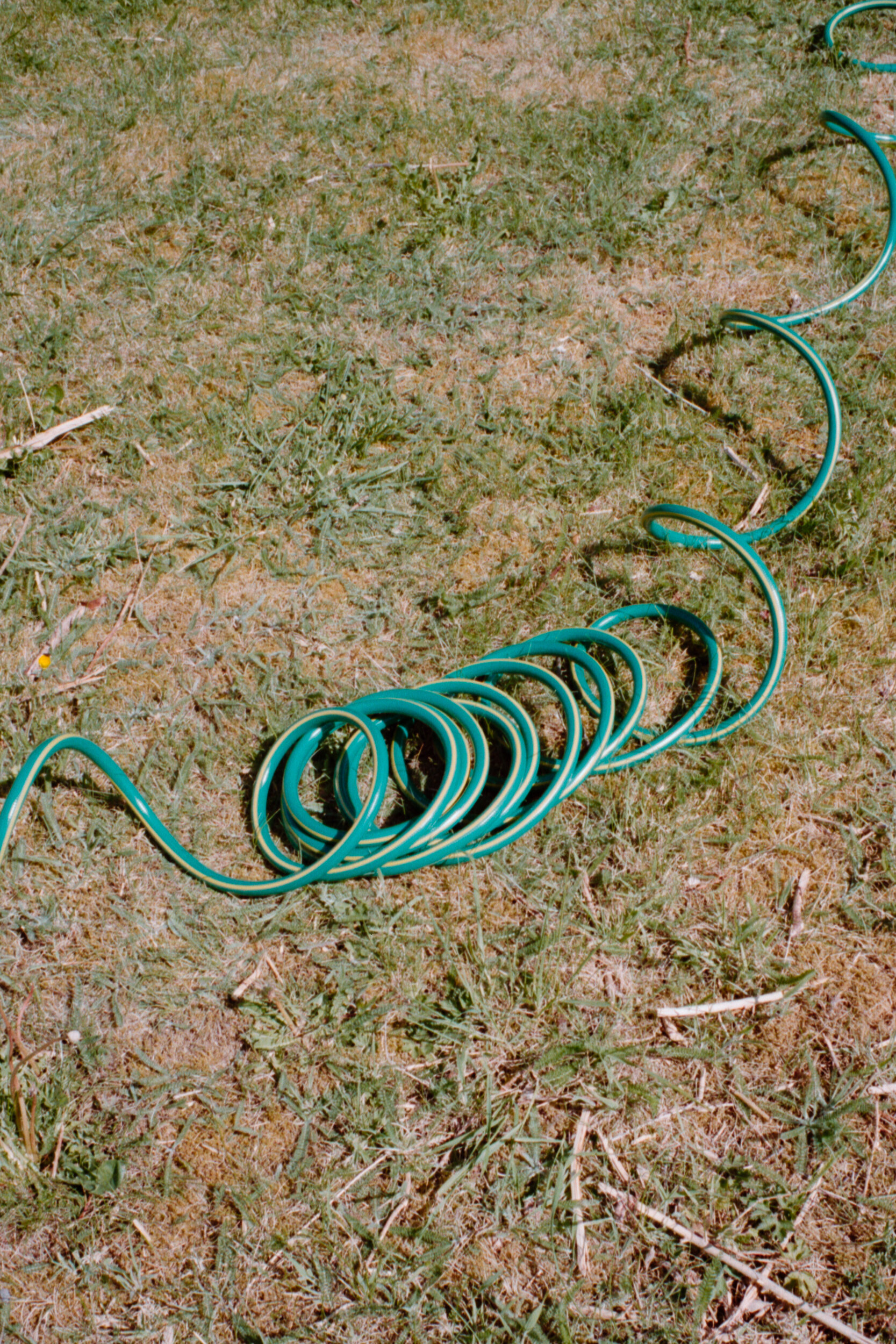 sam03017.jpg