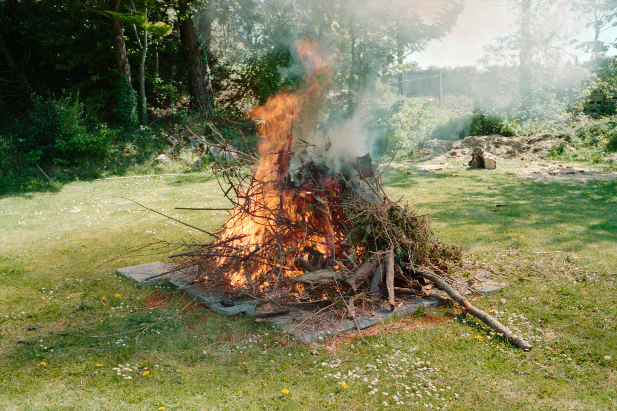 01017.jpg