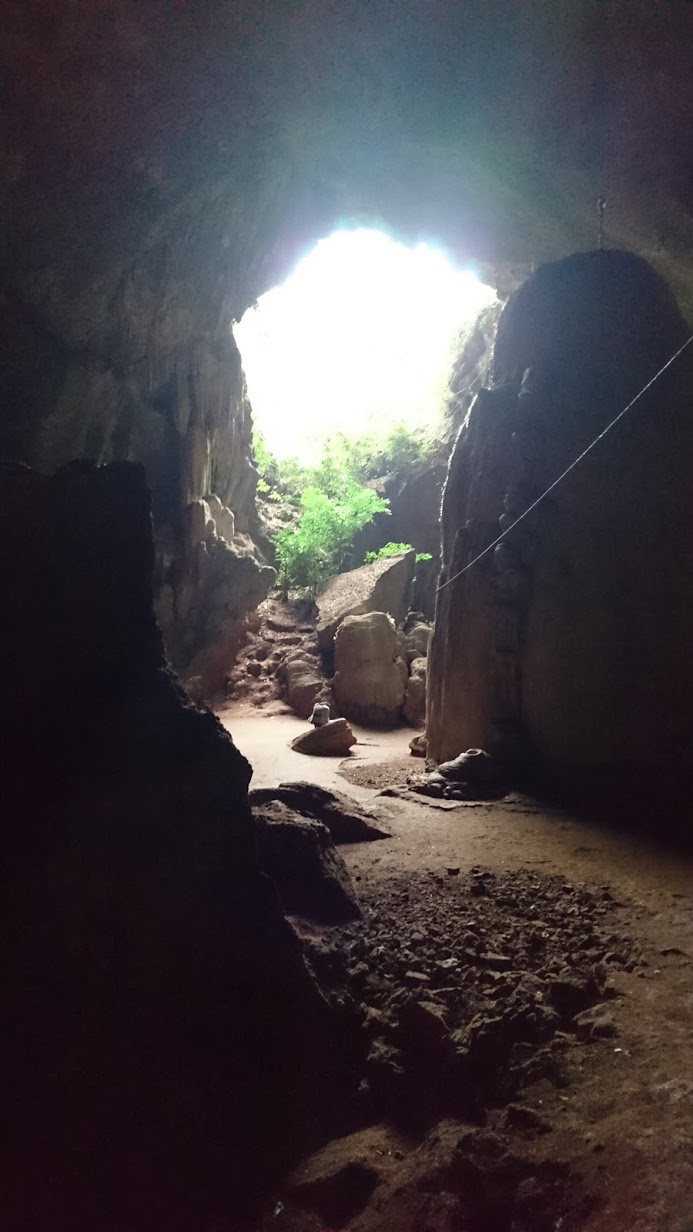 The majority of the cave is shrouded in darkness, save for these random openings to the outside that let in precious light...