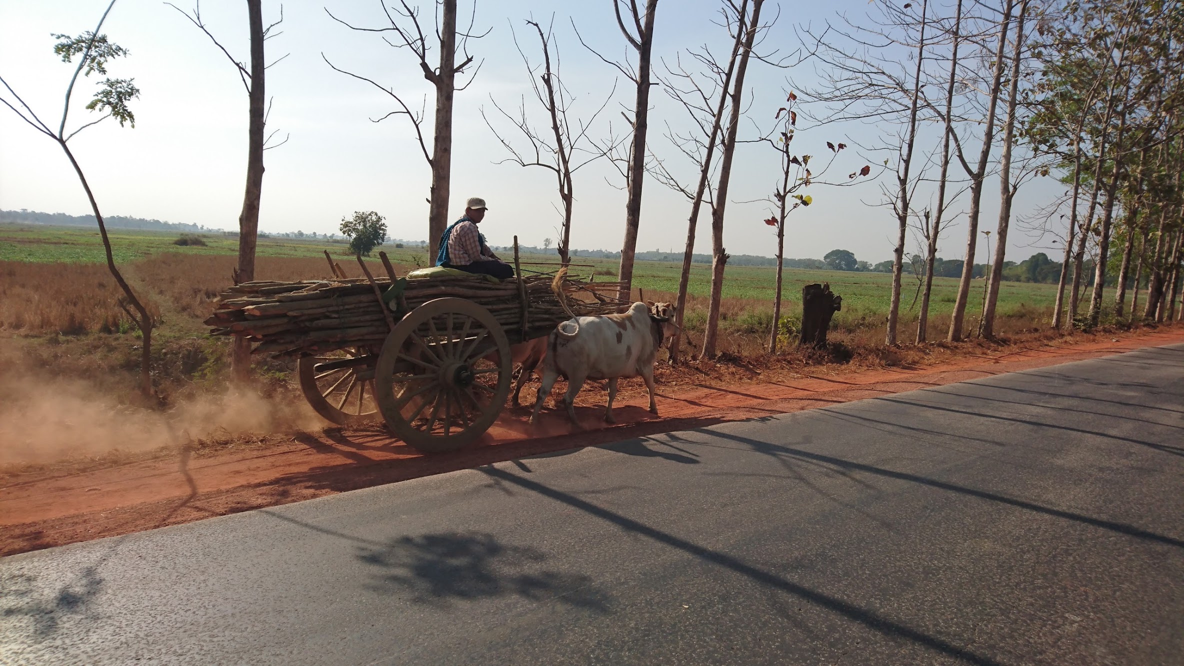 Neil thought it would be hilarious to slice through the inside so as to give us a close encounter with ol' Daisy. Thankfully the driver of the cart had more sense than he did and moved over to the side of the road.