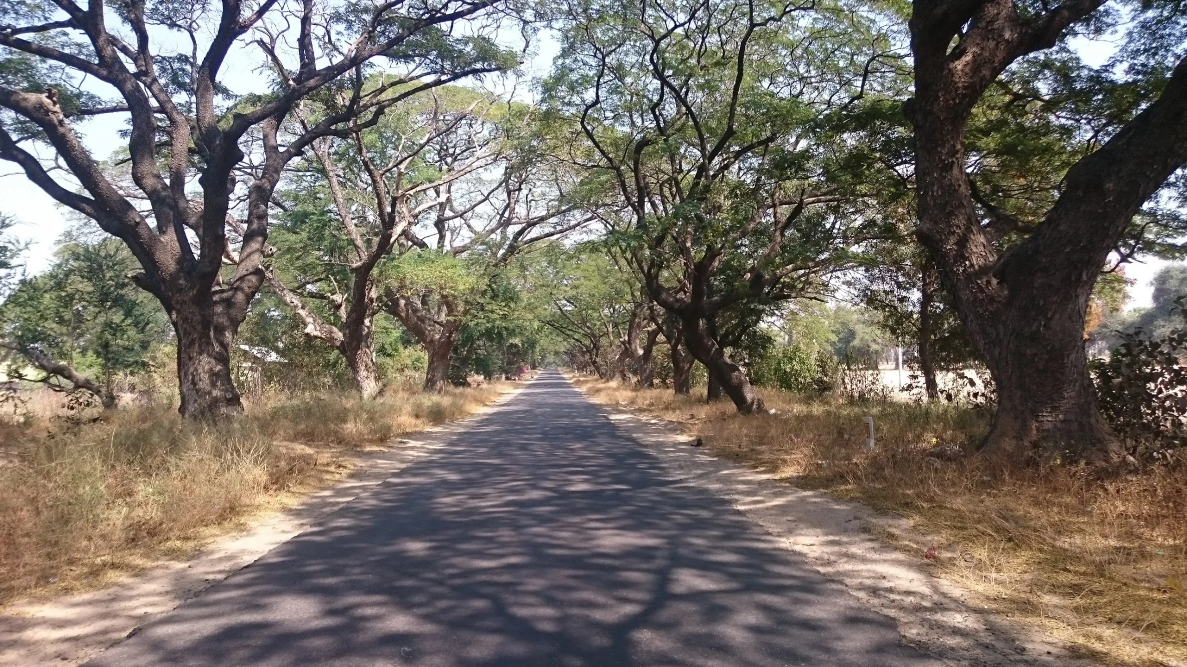 The Ride: Yenangyaung to Bagan