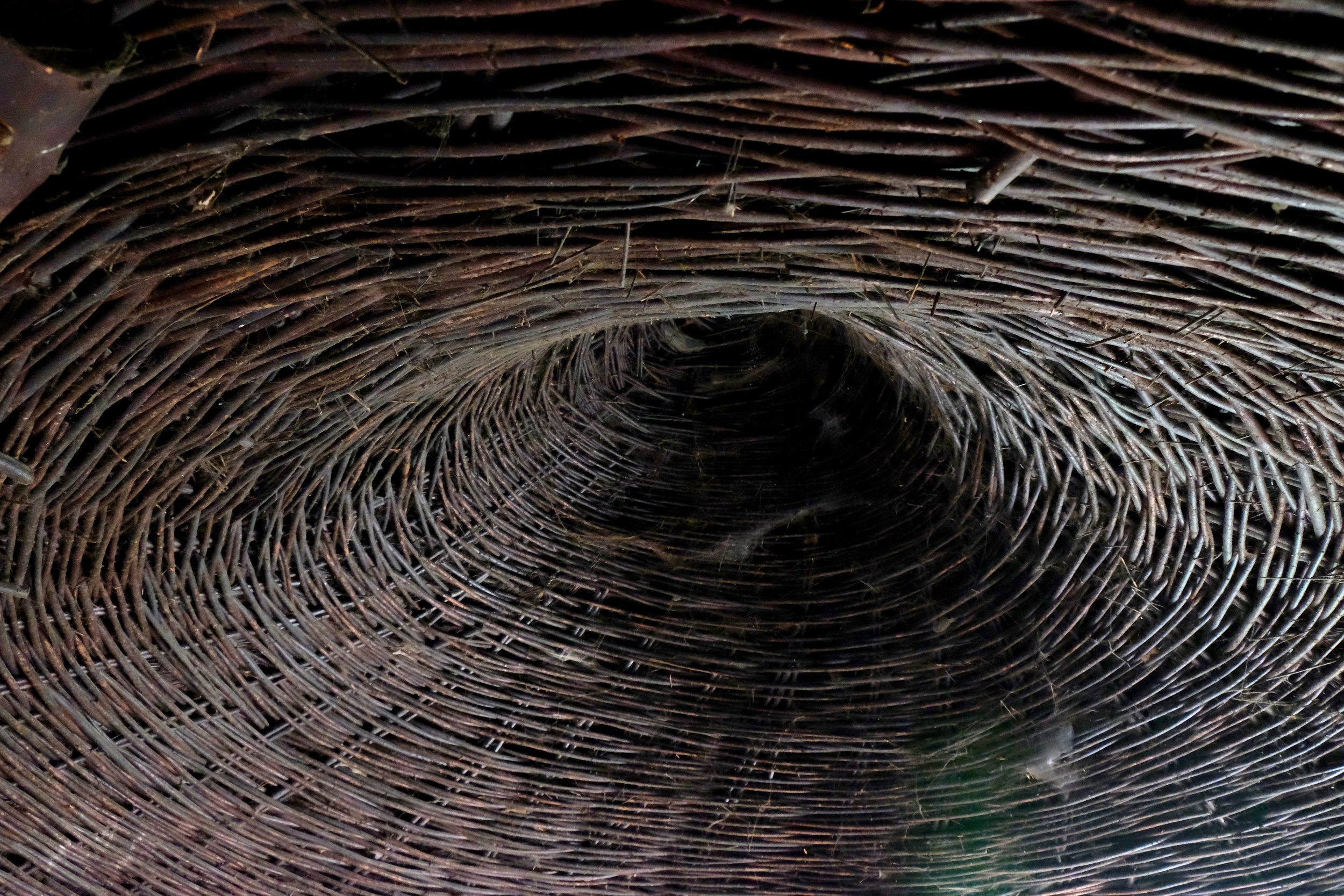 The incredible woven roof.