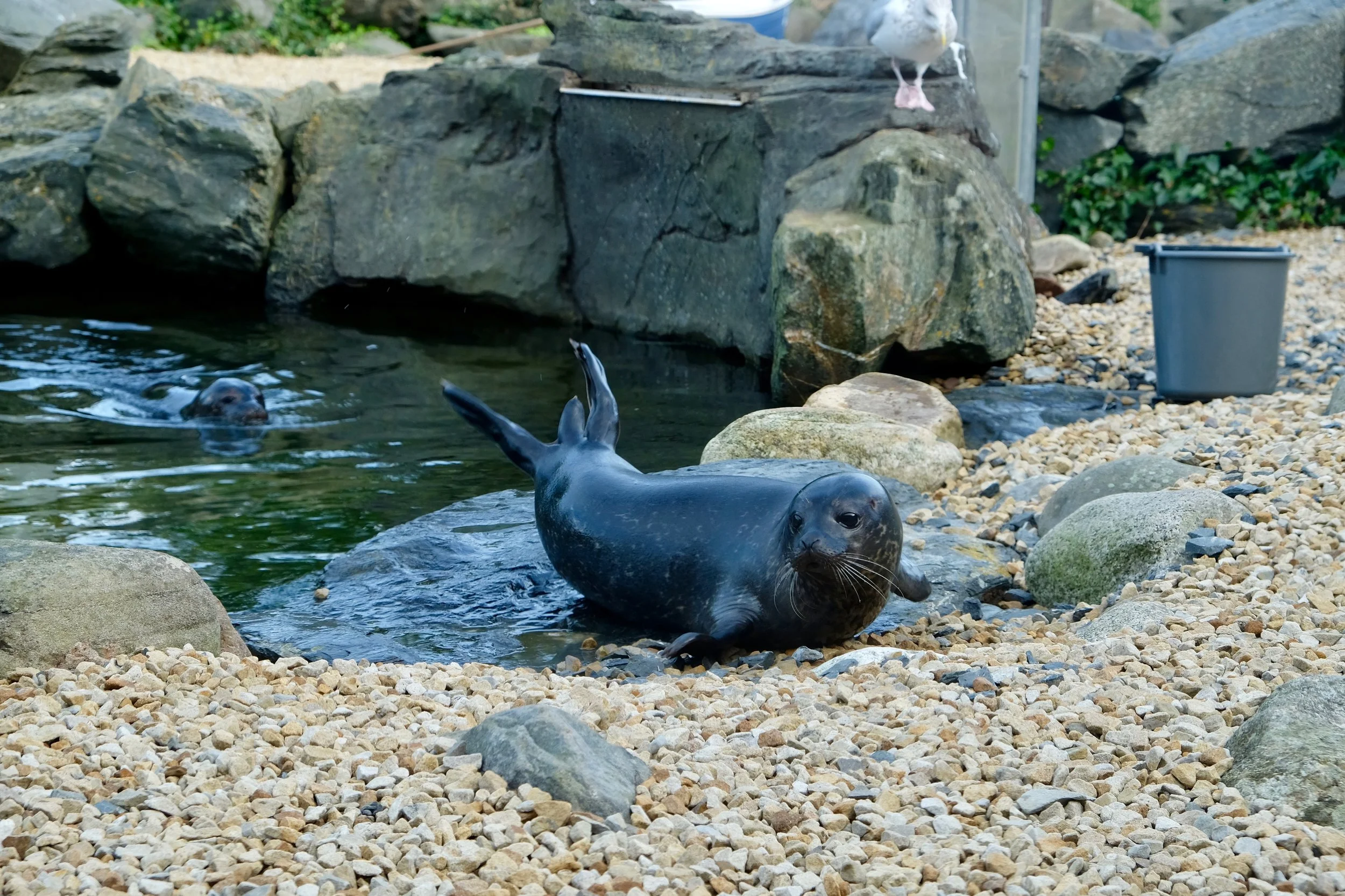 DSCF9016.jpg
