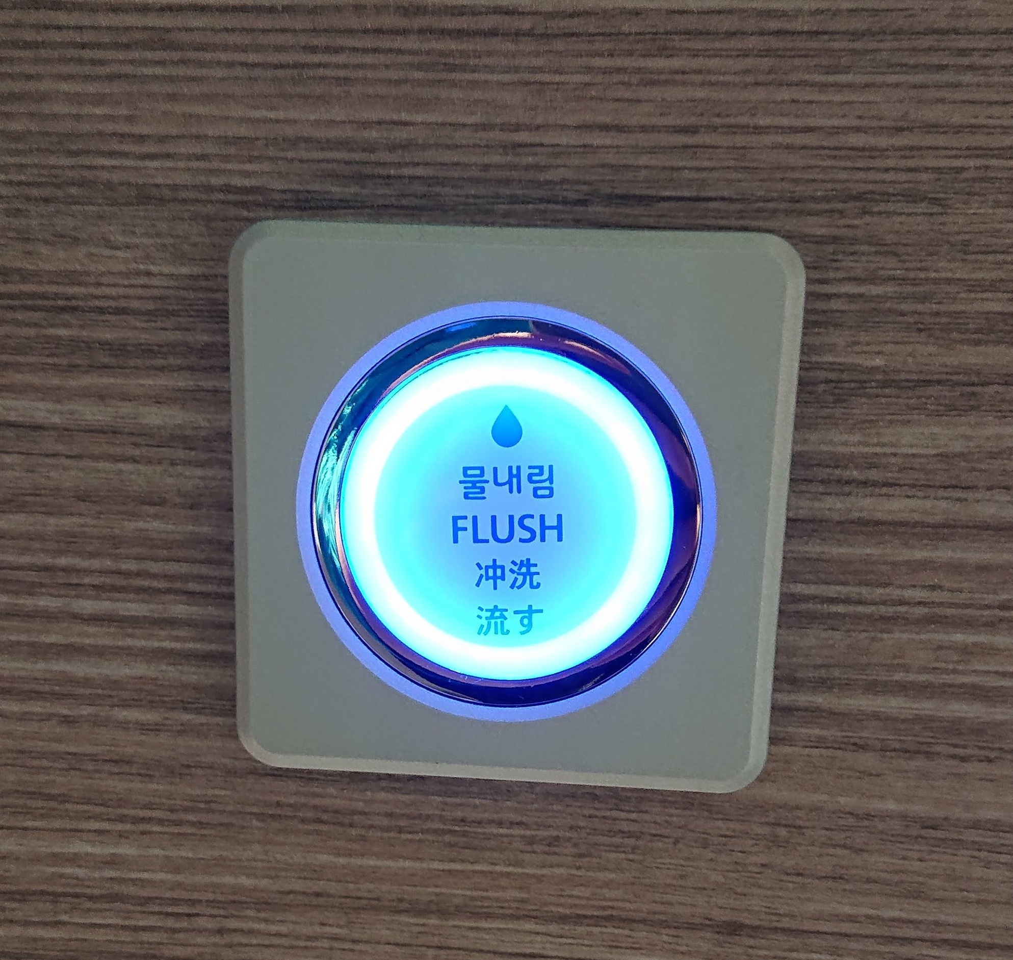 Even the flush buttons in Korea are flashy.