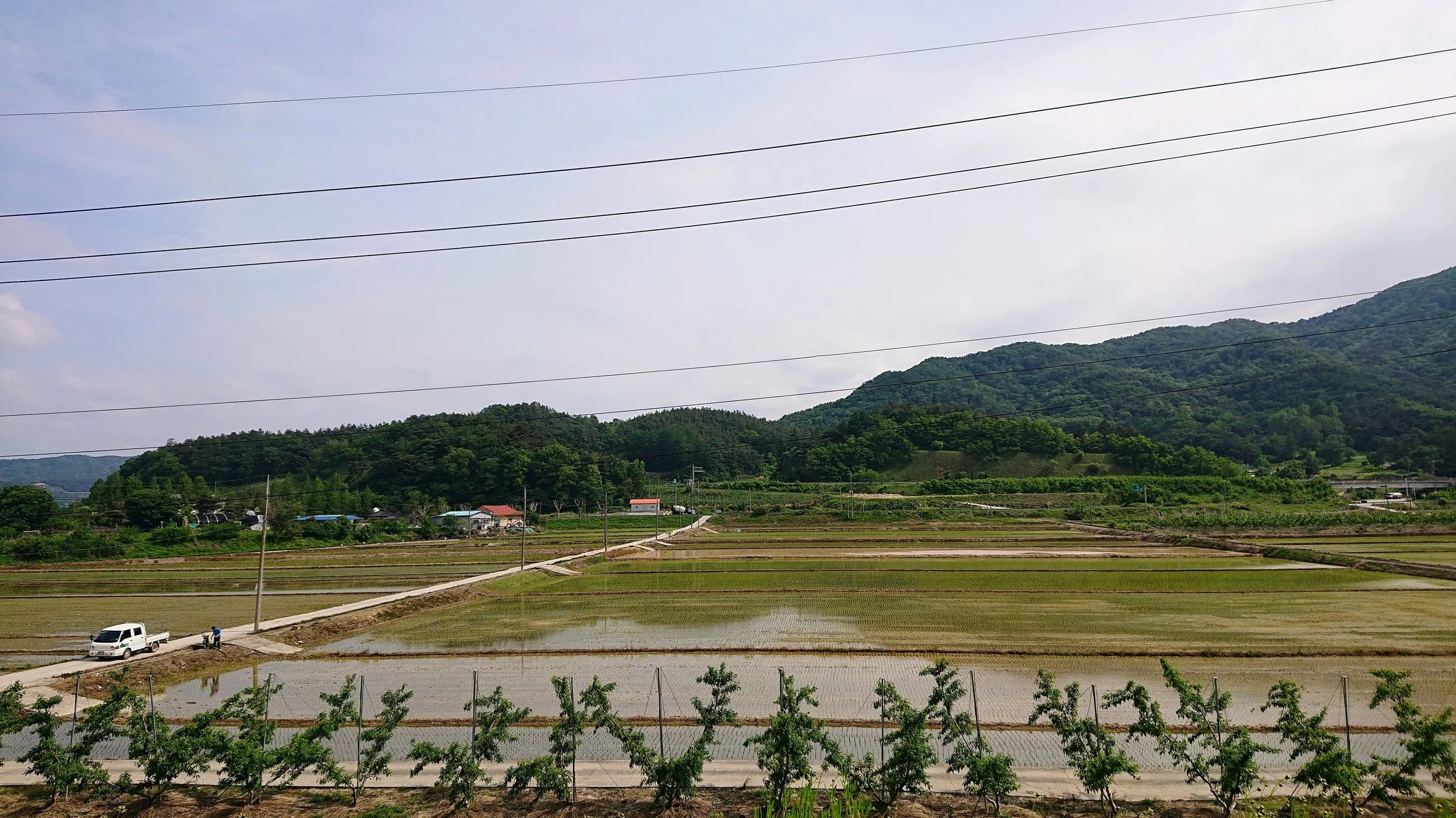The Ride: Yeoju to Chungju