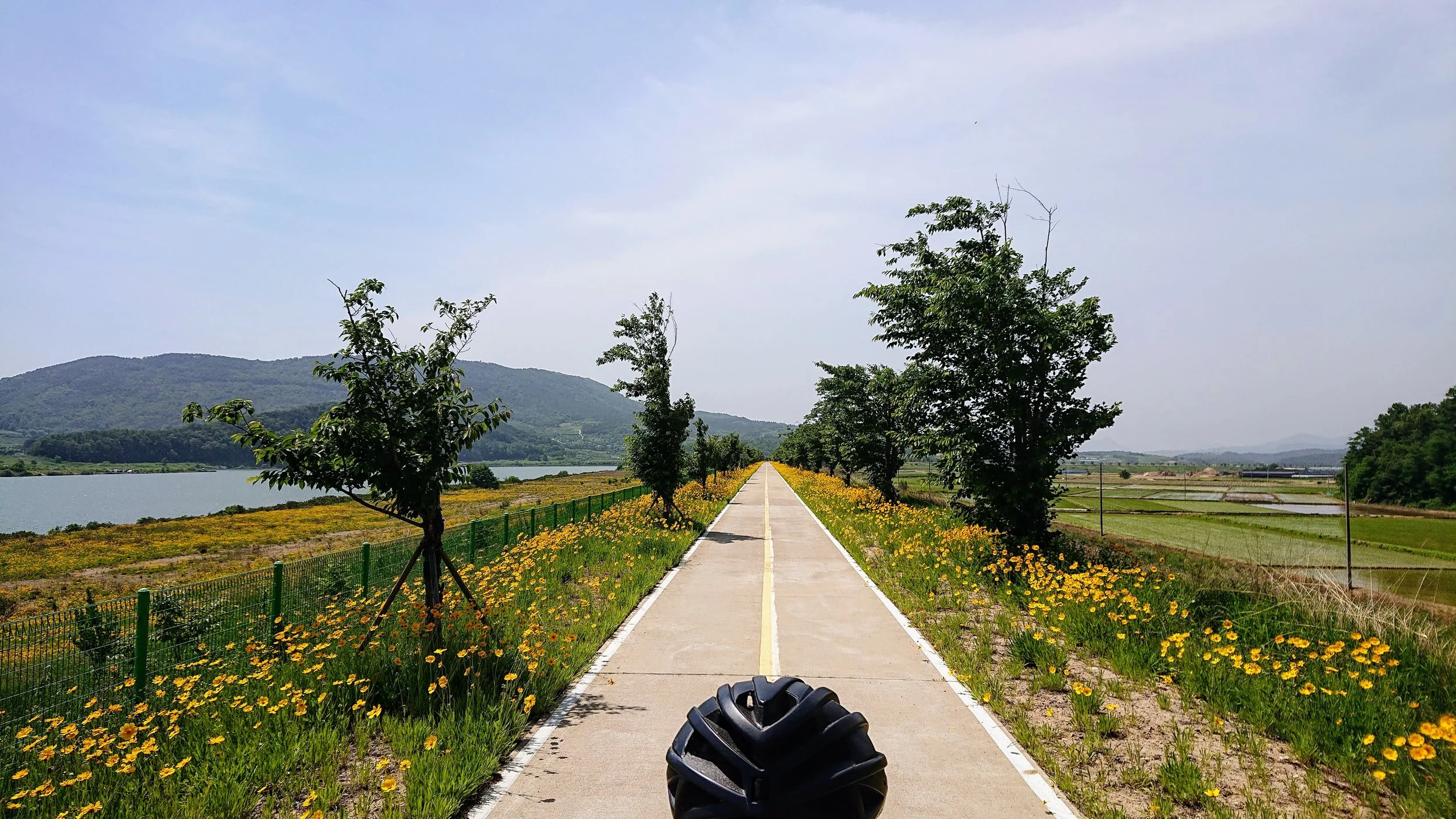 Beautiful wildflowers as far as the eye could see.