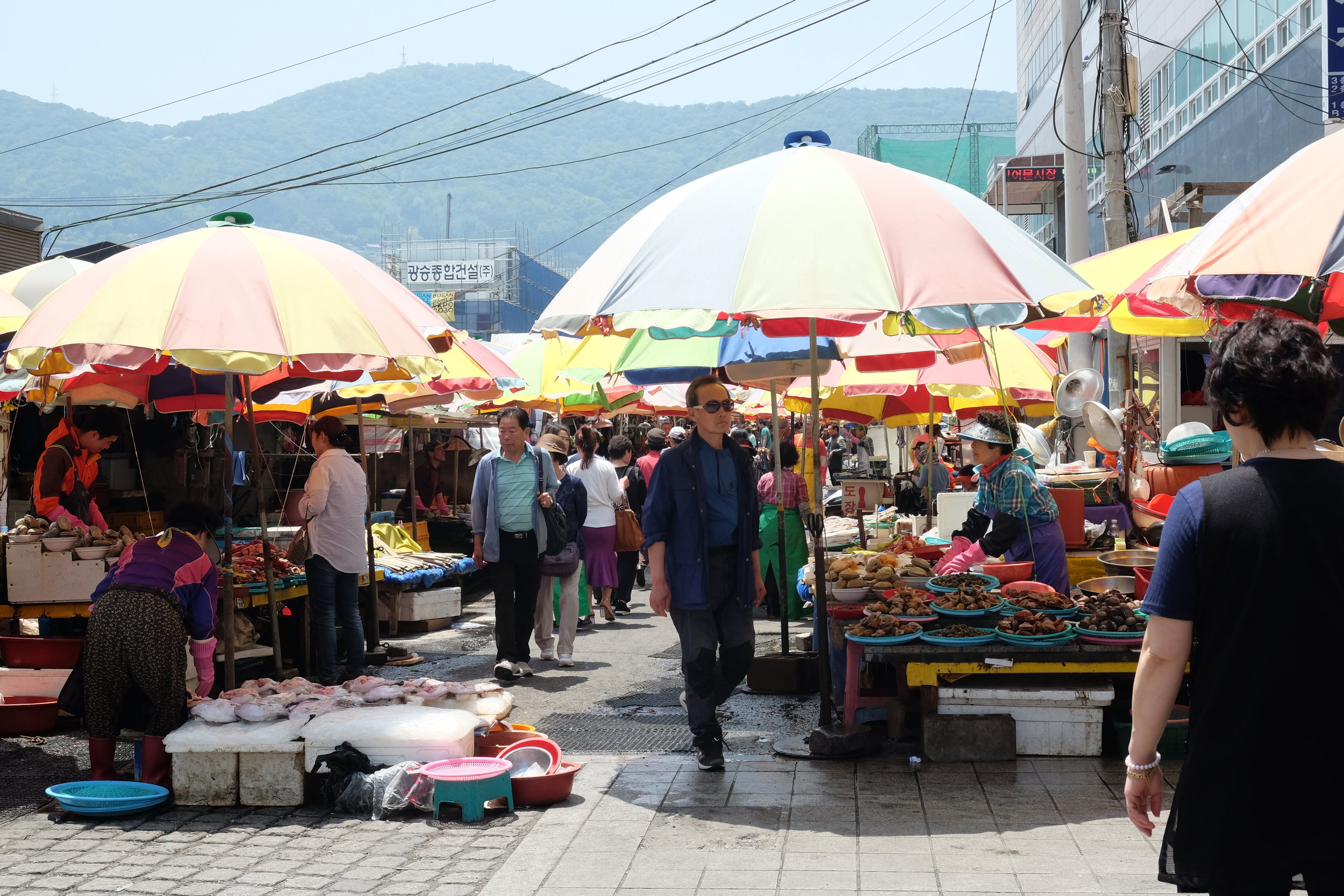 Jagalchi Market And Gamcheon Culture Village The Ways We Came