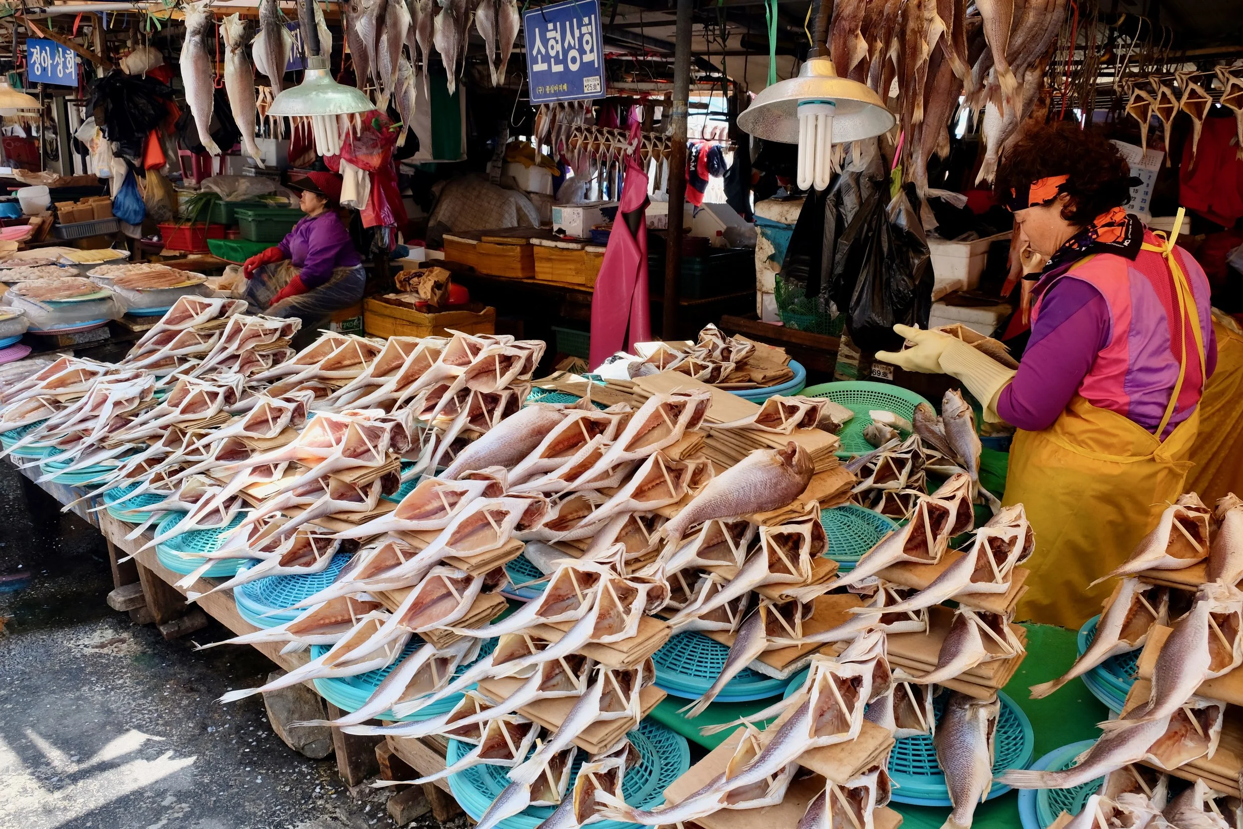 Jagalchi Market And Gamcheon Culture Village The Ways We Came