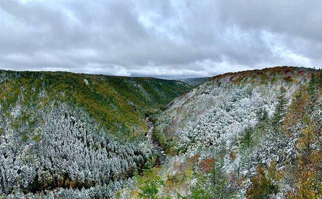 My wife took this spectacular photo. Just enough snow and fall colors 🍁 
#wildandwonderful #westvirginia #blackwaterfallsstatepark #campingweekend