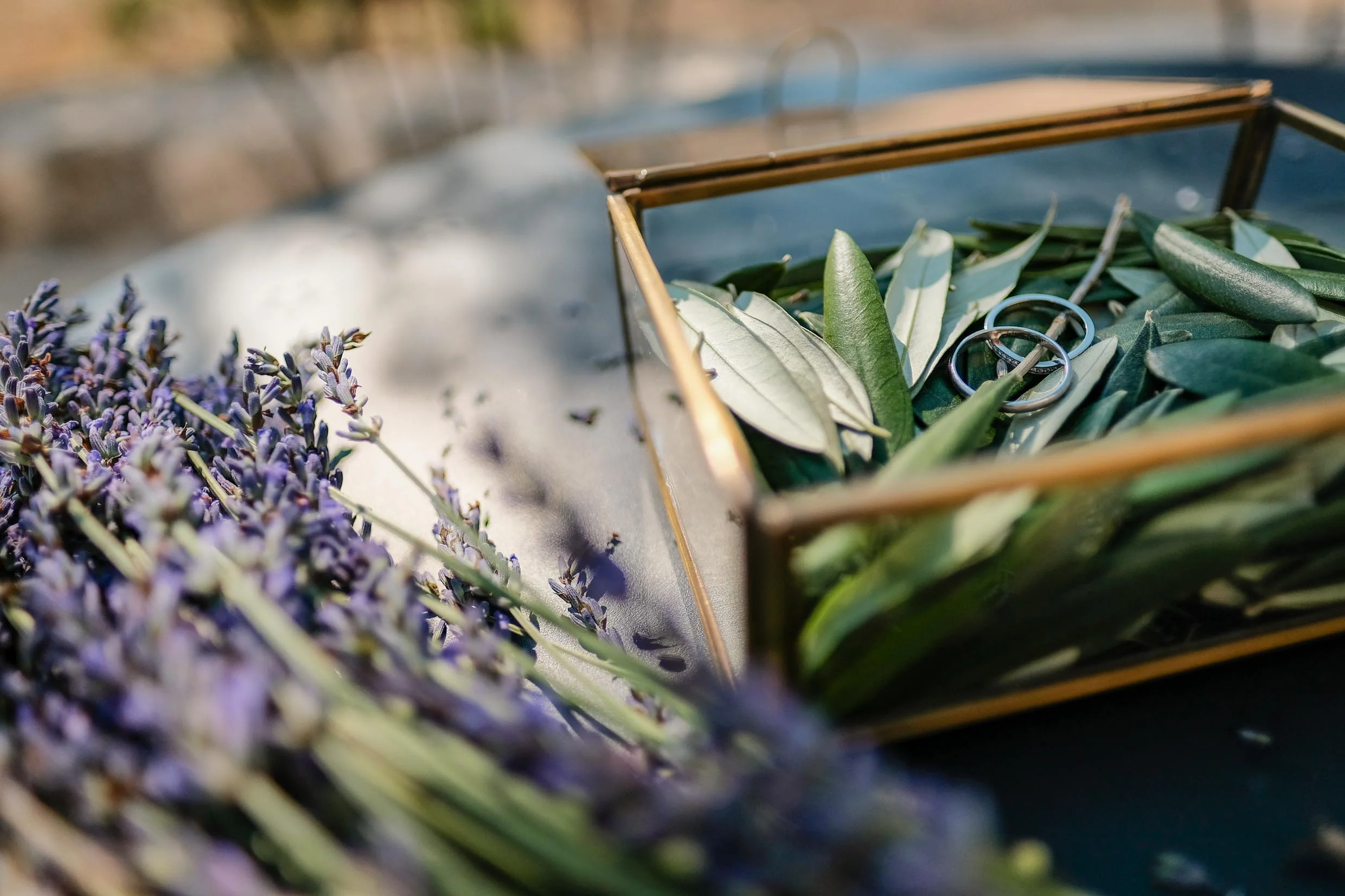 destination-wedding-photographer-1.jpg