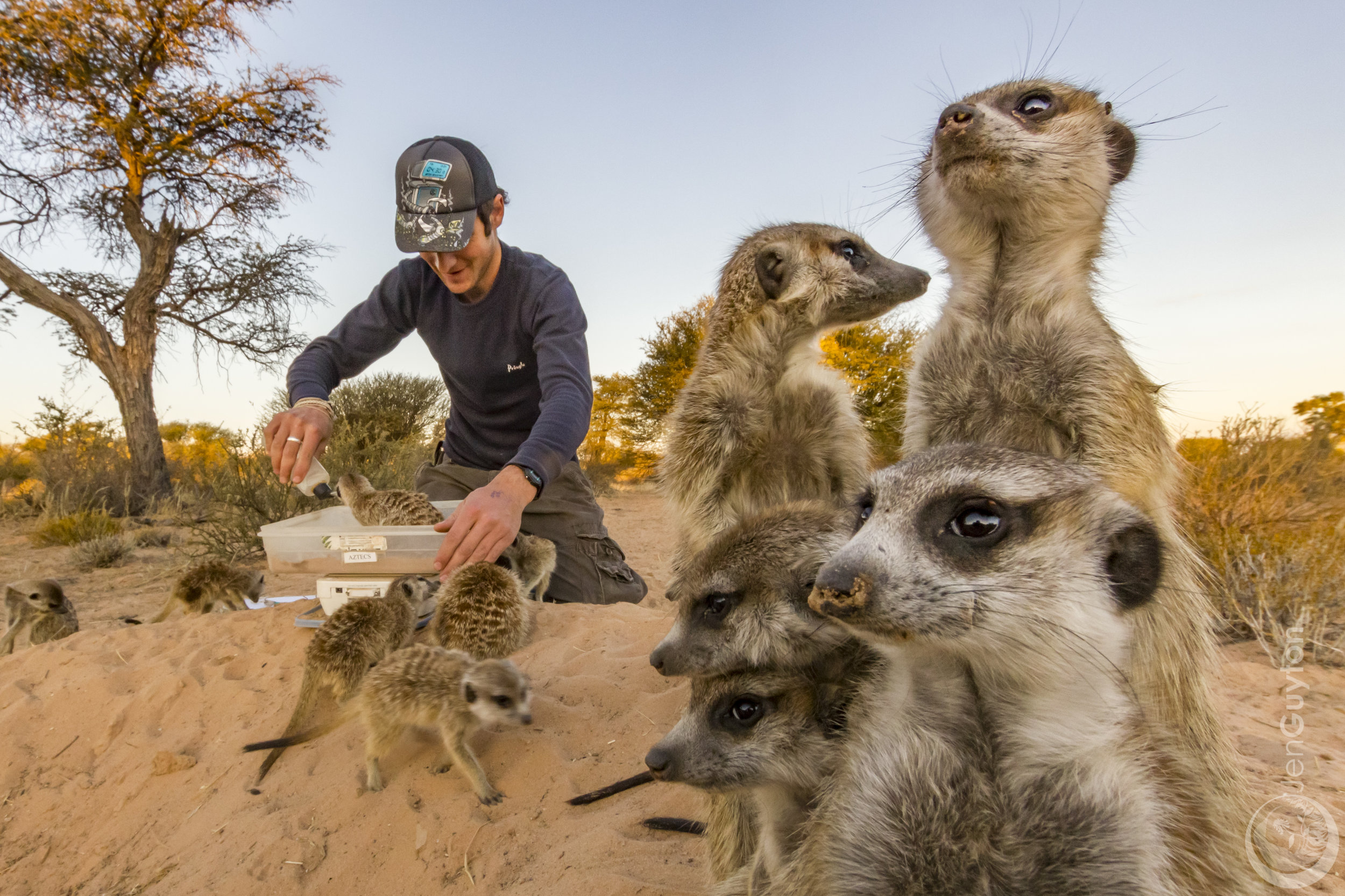 Photo Competitions for Nature Photographers — Jen Guyton Photo Competitions for Nature Photographers — Jen Guyton