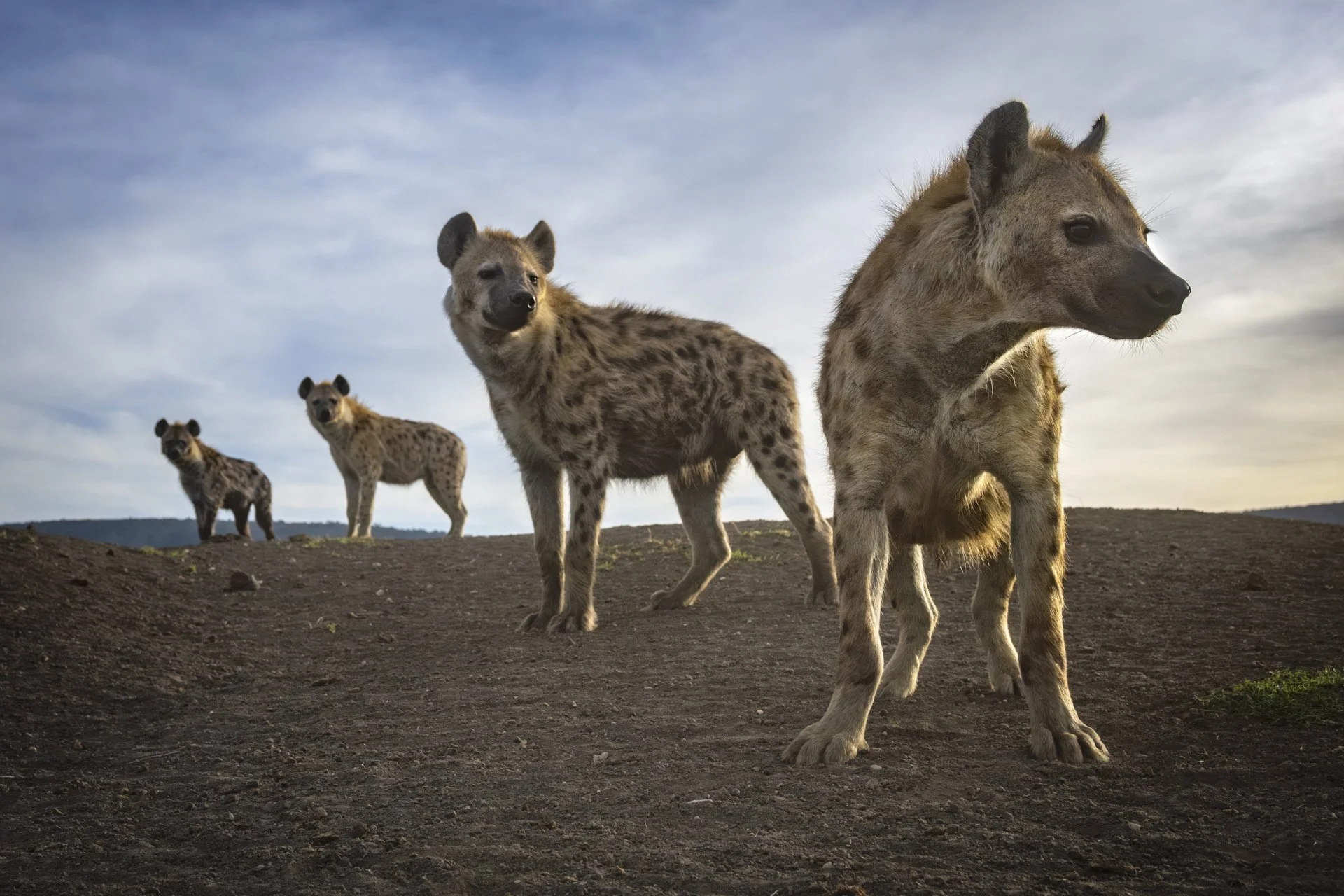 national geographic photo taken by jen guyton