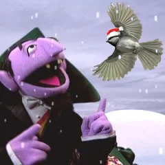 Bonus 01 - The Christmas Bird Count episode artwork
