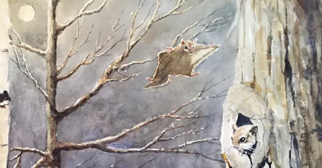 Ep. 24 - The Flying* Squirrel episode artwork