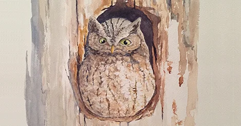 Ep. 25 - The Eastern Screech-owl episode artwork
