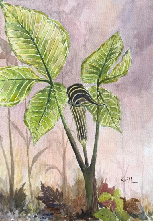 Ep. 29 - Jack-in-the-Pulpit, AKA George-Michael-in-the-Banana-Stand episode artwork