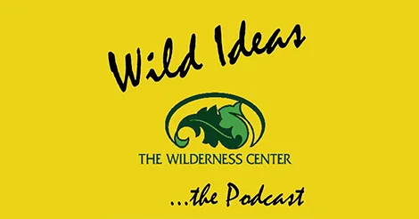 Bonus 07 - Wild Ideas...The Podcast (Feat. Gordon Maupin) episode artwork