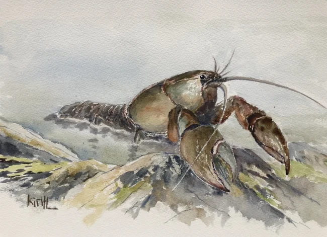 Ep. 32 - The Devil Crayfish (Feat. Dr. Wayne Gall) episode artwork