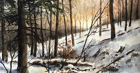 Ep. 35 - The Receding Hare Line (and More Snow-related Science) episode artwork