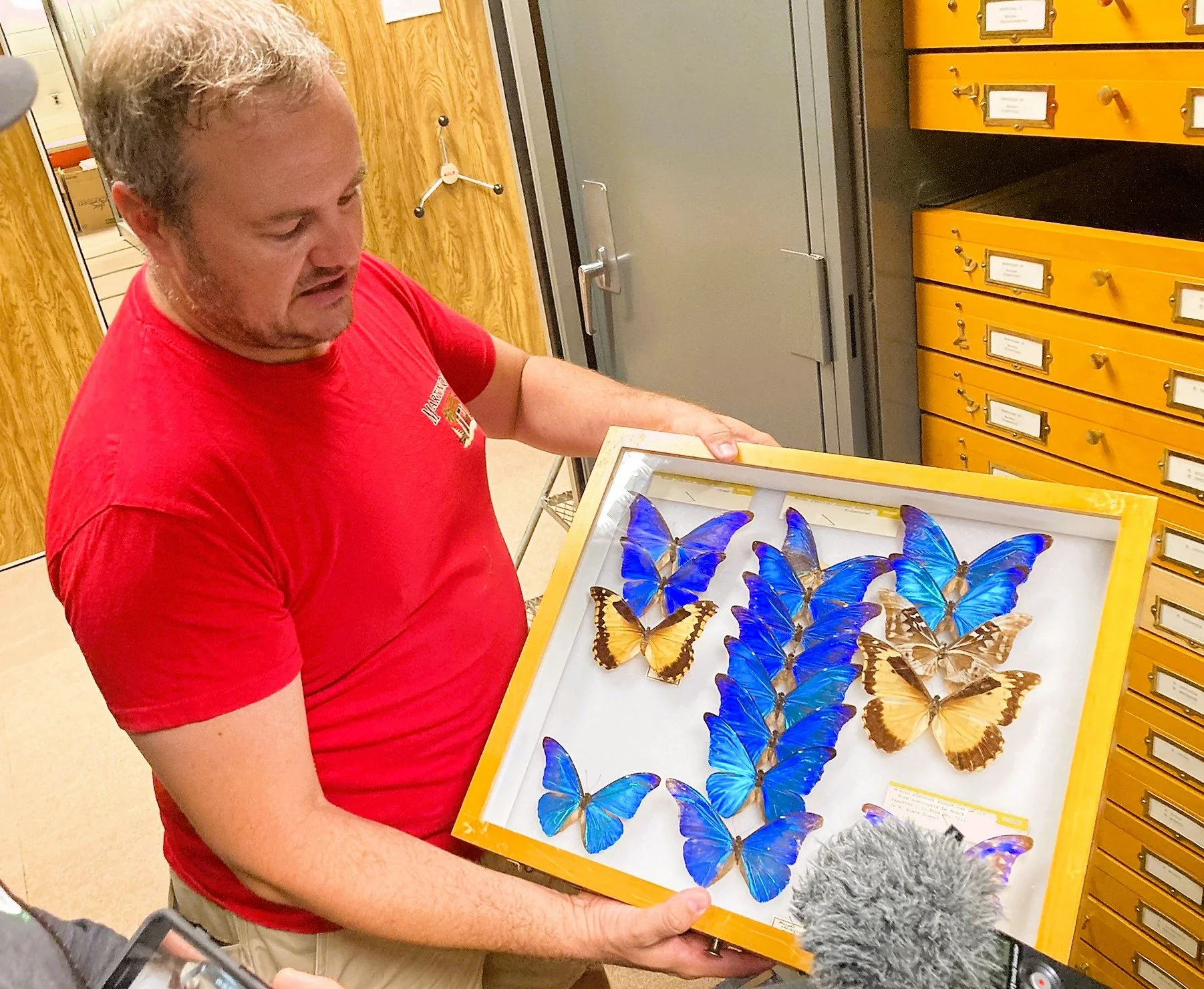 Ep. 58 - Insectapalooza! (Part 1)
