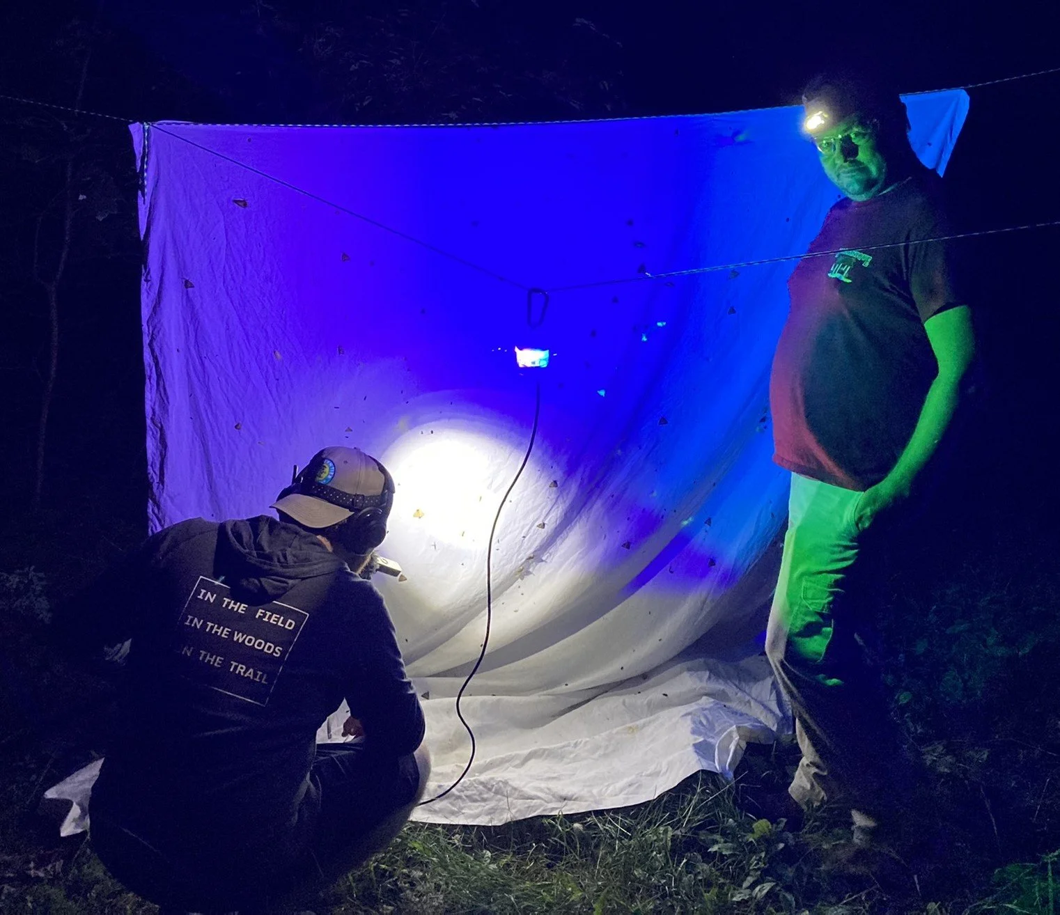 Ep. 58 - Insectapalooza! (Part 2)