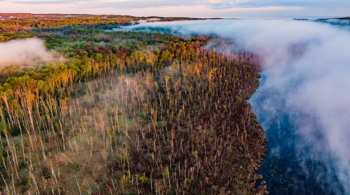 Ep. 81 - Keepin' Wetlands Wet: The Western NY Land Conservancy's Mission to Save Bear Lake