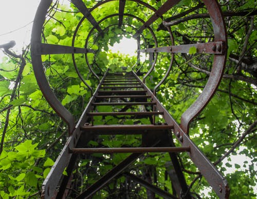 ladder green.jpeg