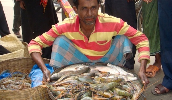Prawn-and-white-fish-at-local-market-in-Khulna.jpg