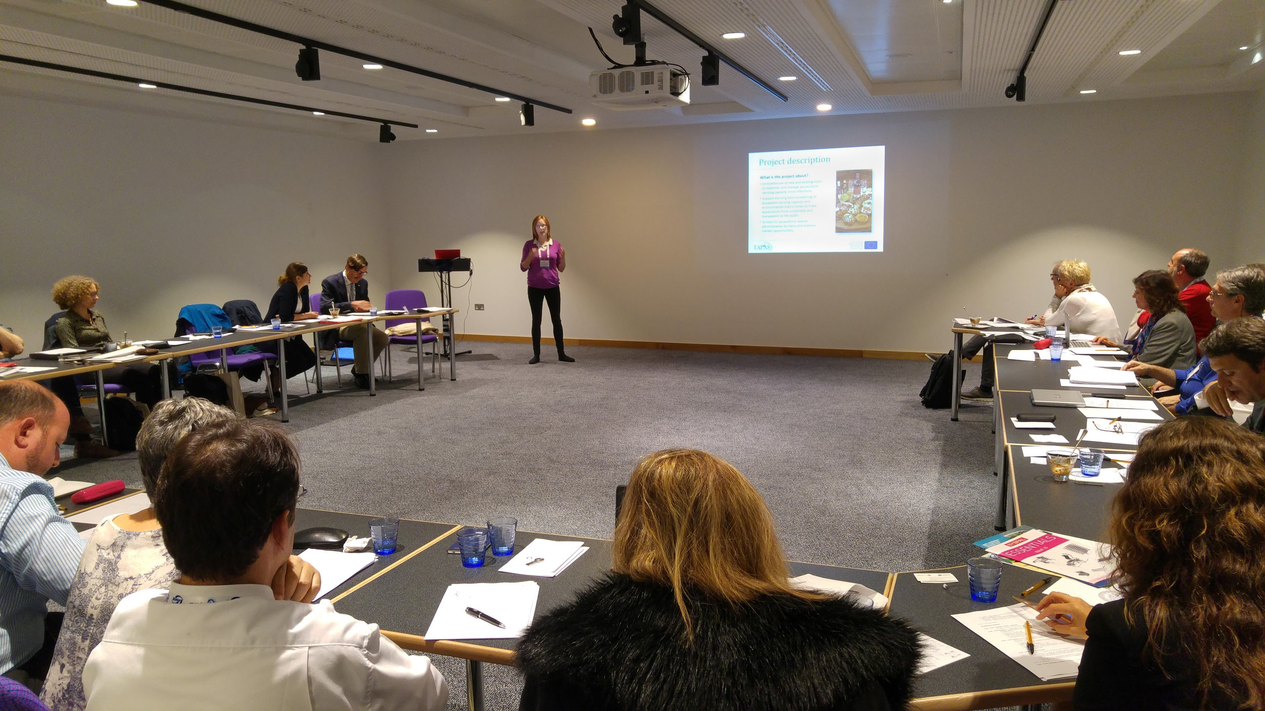 Lynne Falconer presenting the TAPAS project at the EC - South Atlantic Workshop