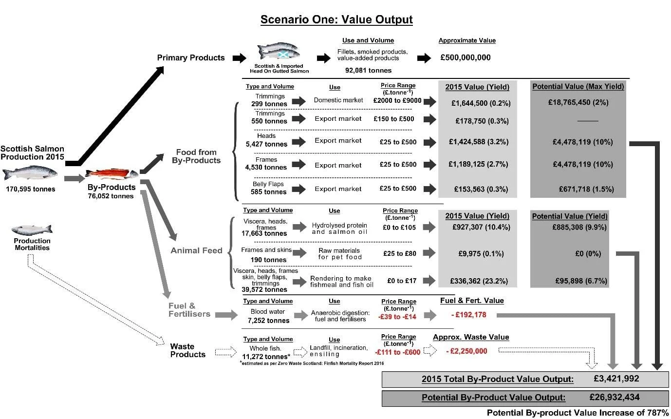by-products-for-salmon-feed-diagram-2.jpg
