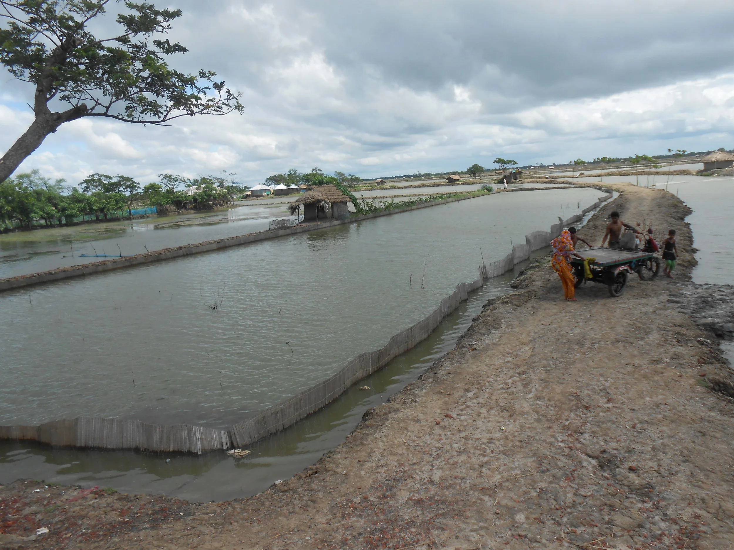 Evaluating the potential of innovations across aquaculture product value chains for poverty alleviation in Bangladesh and India