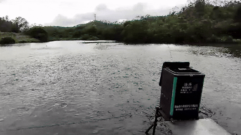 Project SAFE team carry out field work in China