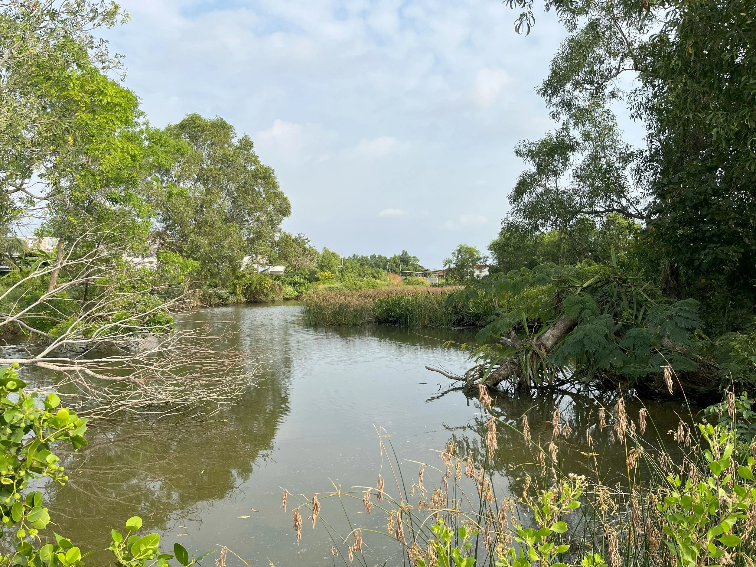 Assessment of interactions between sustainability and welfare issues in Vietnamese shrimp farms