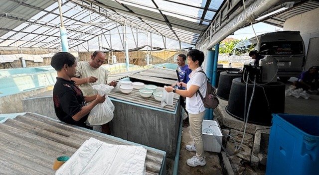 Shrimp welfare during transportation: Fieldwork at Thanachart Farm