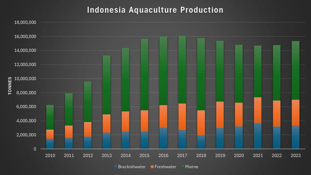 Indonesia-Stats-1.JPG