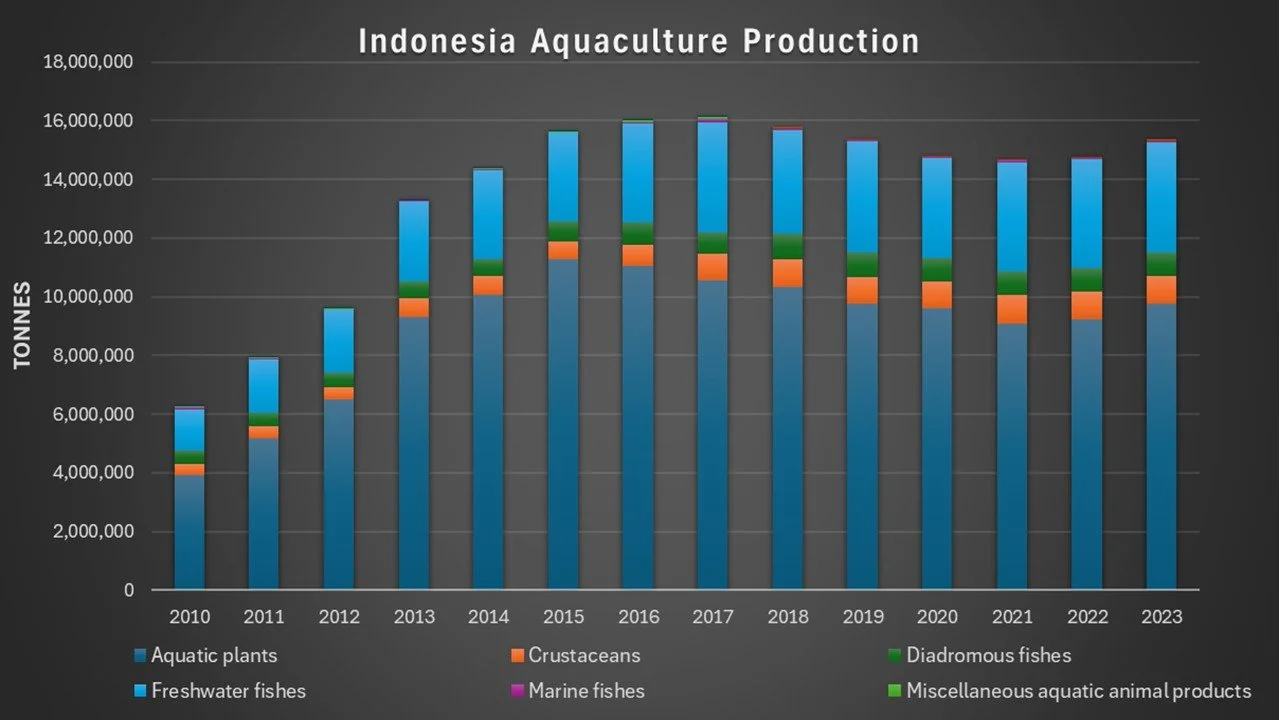 Indonesia-Stats-2.JPG