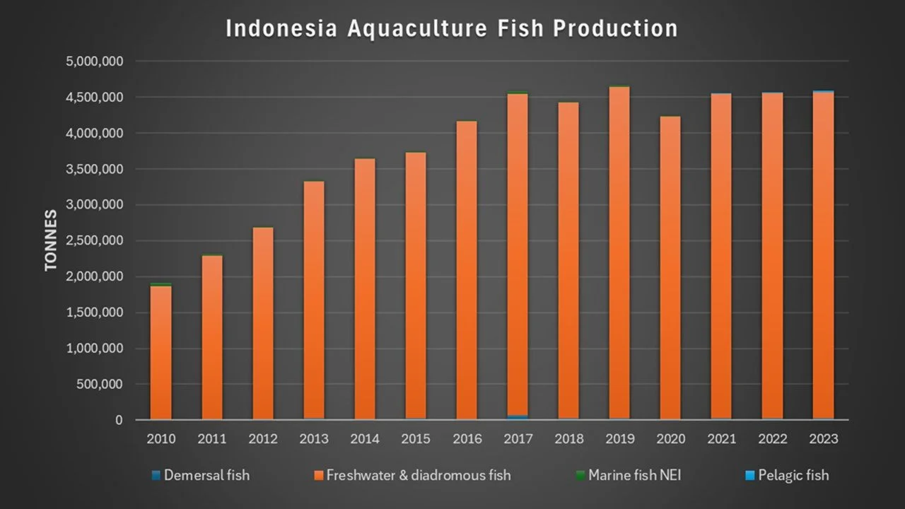 Indonesia-Stats-3.JPG