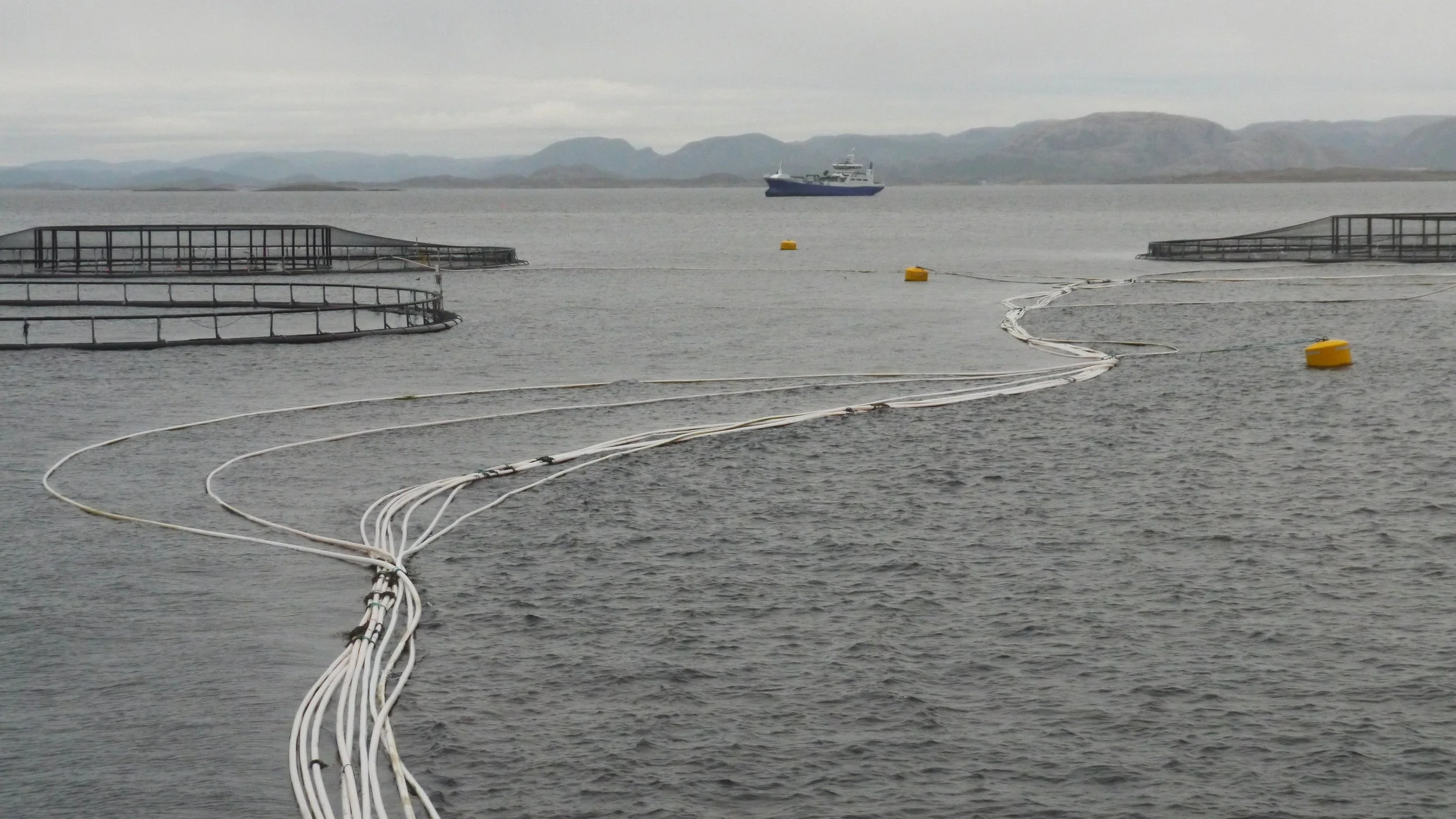 Sustainability metrics need balance