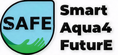SAFE-LOGO_2026-05-15_10_46_13.931965.webp