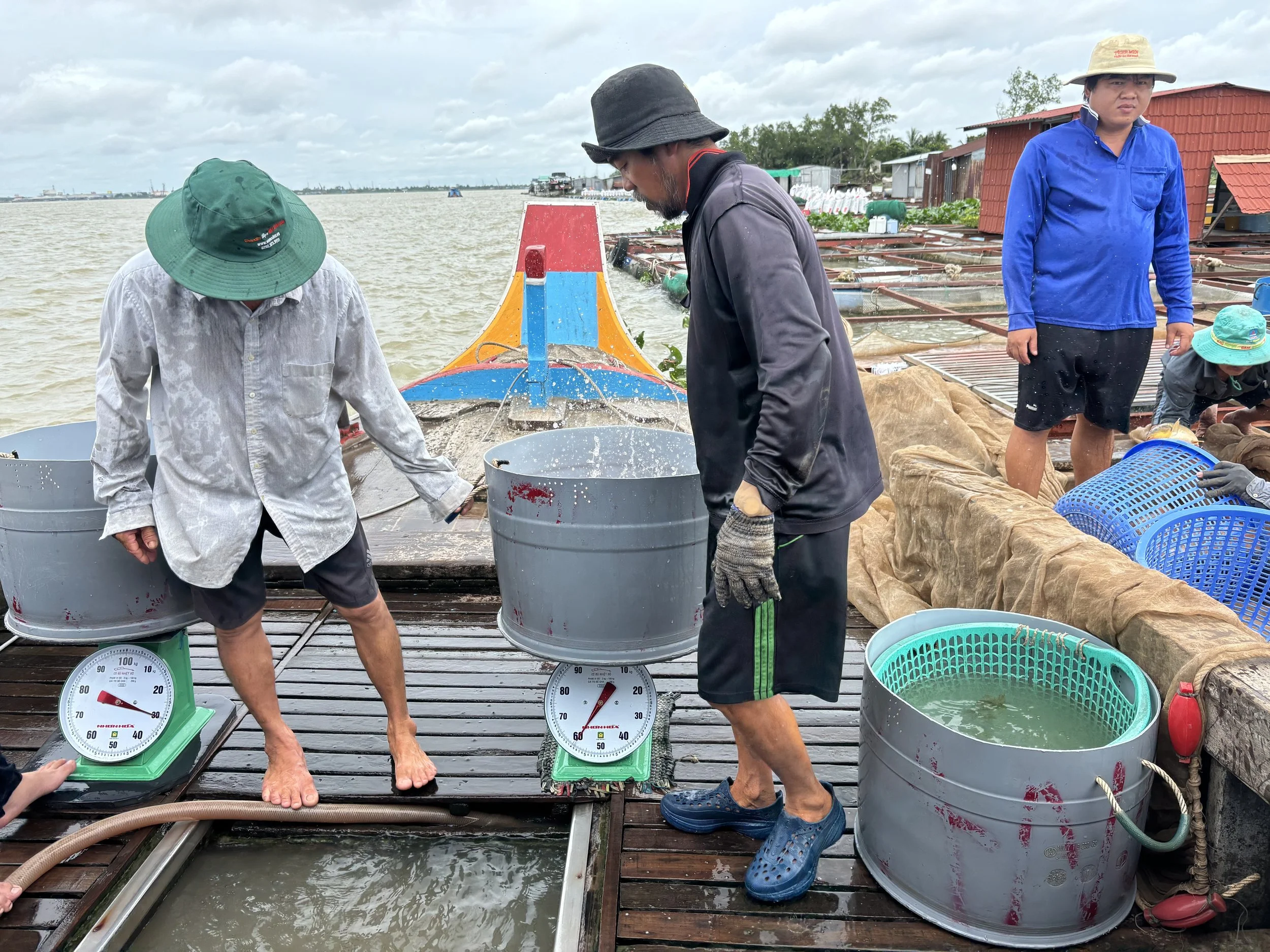 Assessing stress in tilapia through the Vietnamese value chain