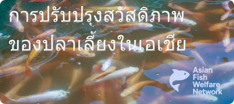 Thai (coming soon)