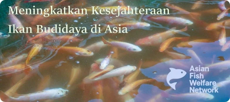 Bahasa Indonesia (coming soon)