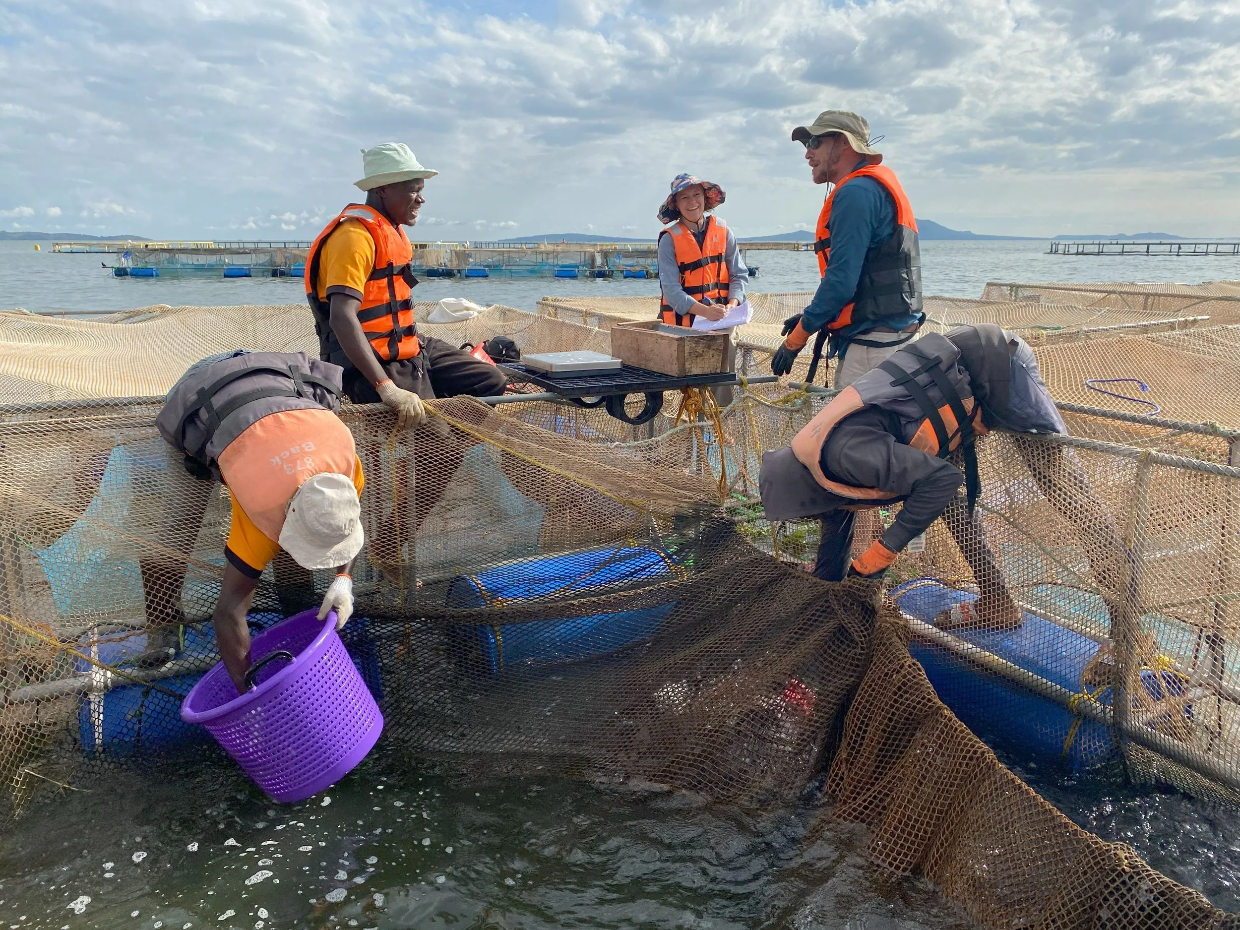 Growing smaller fish for inclusive markets?