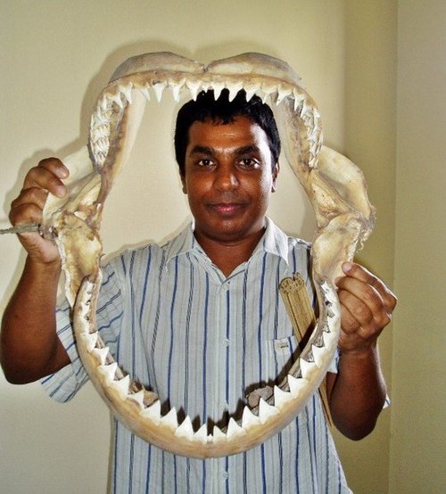 Tribute to Professor Mostafa Ali Reza Hossain (Ranu)