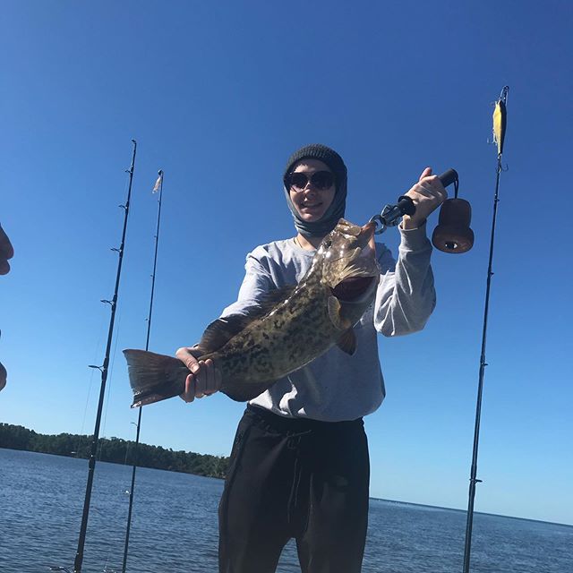 Garrett gets his First Gag Grouper and a Goliath Grouper back to back. @bubba_chum_bags @trosset_outdoors @reel_fly_charters @finzdivecenter @biscaynerod @everglades_national_park_ #seewhatsoutthere #fishinglife #grouperfishing #jerk_your_chum #and_c