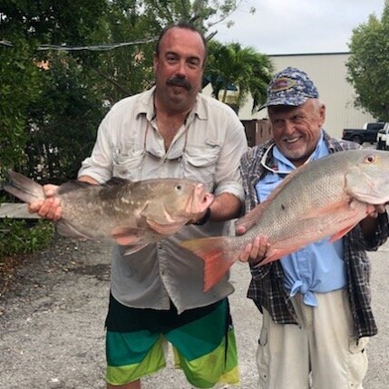Last day of Grouper season and Big Dan closed it out with a couple of Big Reds and some nice Mutton snapper!  #redgrouper #muttonsnapper #fishinglifestyle #endoftheyear #hellow2020 @bubba_chum_bags @jerk_your_chum @reel_fly_charters @finzdivecenter @