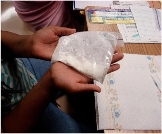 Mystery Bag Inspires Inquiry: 5th Grade Science