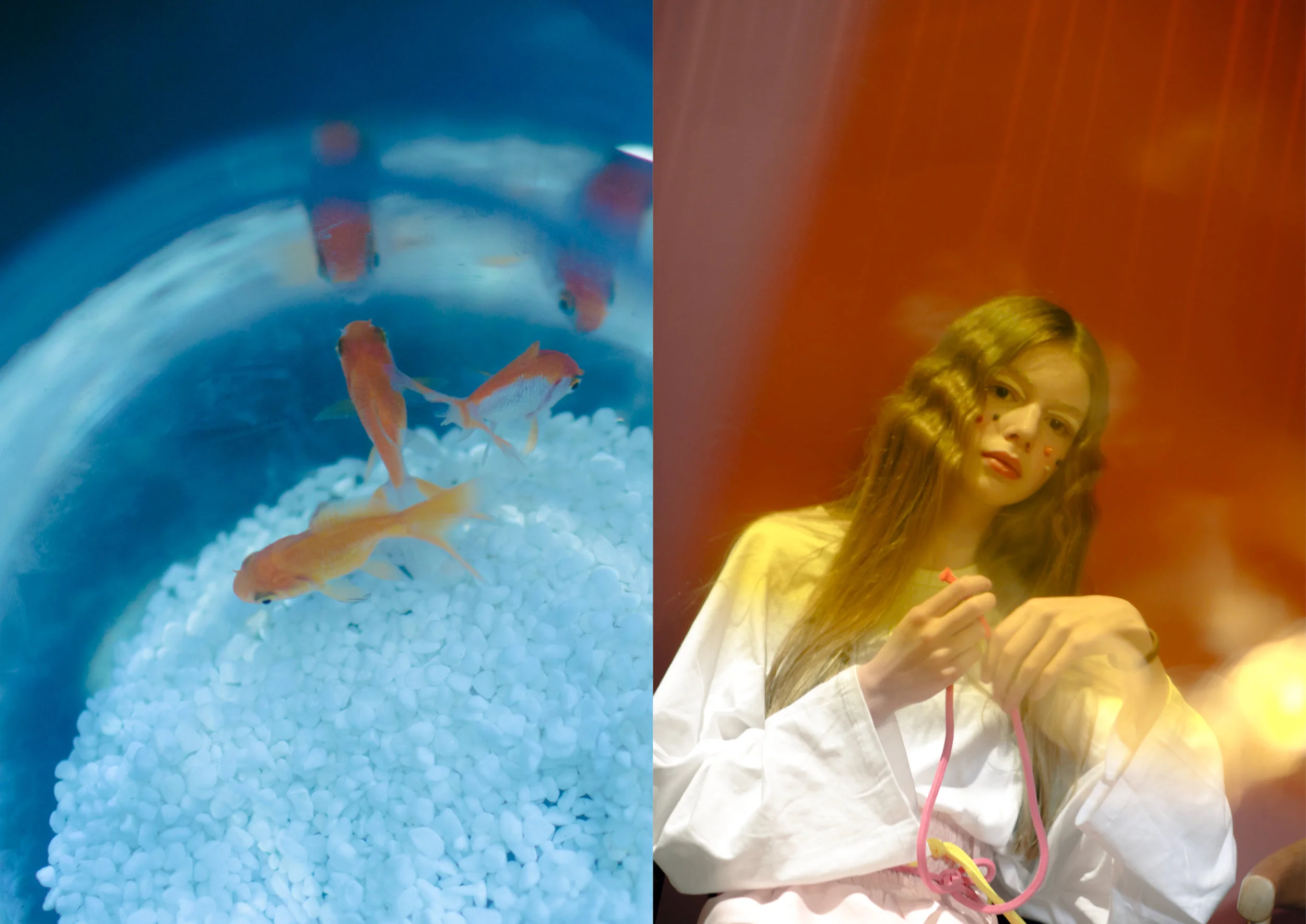 Chungking Express updated JPG12.jpg
