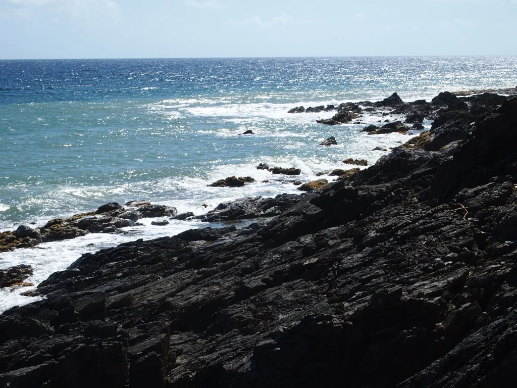 thumb_20111218_0148_1024.jpg