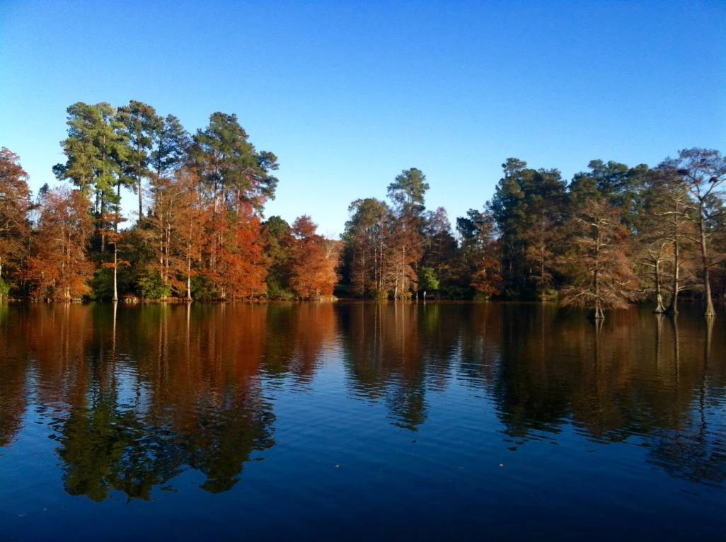thumb_IMG_0723_1024.jpg